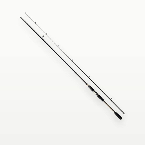 Spinnrute m carbon - 2,70,