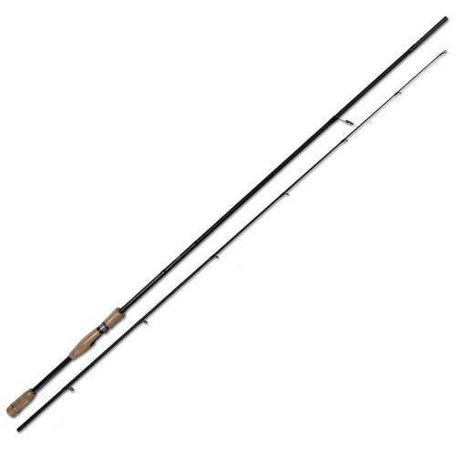 Spinnrute carbon angelrute - carbon,